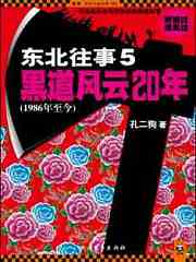 黑道风云20年5有声小说