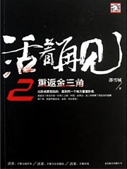 活着再见2 重返金三角有声小说