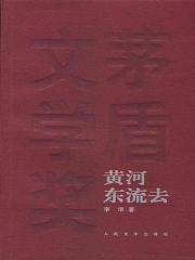 黄河东流去有声小说