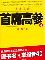 首席高参4有声小说