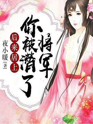 后来居上：将军，你被潜了有声小说